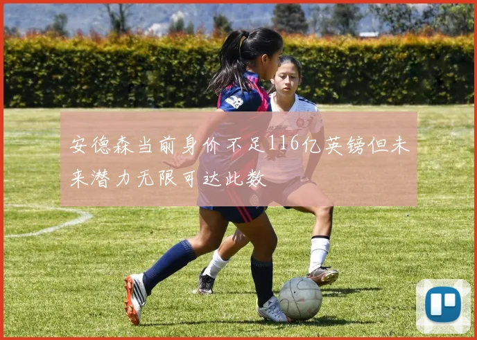 安德森当前身价不足116亿英镑但未来潜力无限可达此数